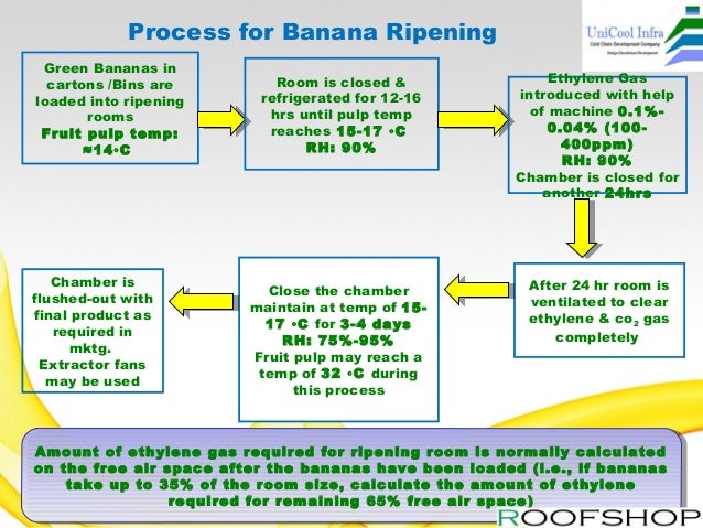 banana ripening plant manufacturer by uni cool infa systems banana ripening chart