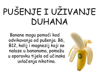 PUŠENJE I UŽIVANJE
     DUHANA
 Banane mogu pomoći kod
odvikavanja od pušenja. B6,
B12, kalij i magnezij koji se
nalaze u bananama, pomažu
u oporavku tijela od učinaka
     uvlačenja nikotina.
 