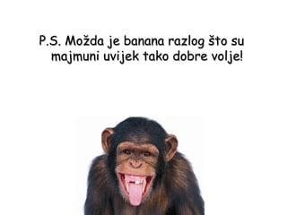 P.S. Možda je banana razlog što su
  majmuni uvijek tako dobre volje!
 