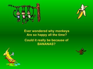 Ever wondered why monkeys
 Are so happy all the time?
Could it really be because of
         BANANAS?
 
