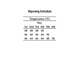 Ripening Schedule 
Temperature (°F) 
Day 
1st 2nd 3rd 4th 5th 6th 
68 68 68 60 
66 66 66 66 56 
64 64 64 64 60 56 
 
