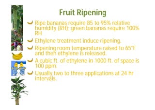 Fruit Ripening 
Ripe bananas require 85 to 95% relative 
humidity (RH); green bananas require 100% 
RH 
Ethylene treatment induce ripening. 
Ripening room temperature raised to 65°F 
and then ethylene is released. 
A cubic ft. of ethylene in 1000 ft. of space is 
100 ppm. 
Usually two to three applications at 24 hr 
intervals. 
 