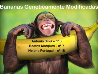 Bananas Geneticamente Modificadas




          António Silva – nº 6
         Beatriz Marques – nº 7
         Helena Portugal – nº 18
 