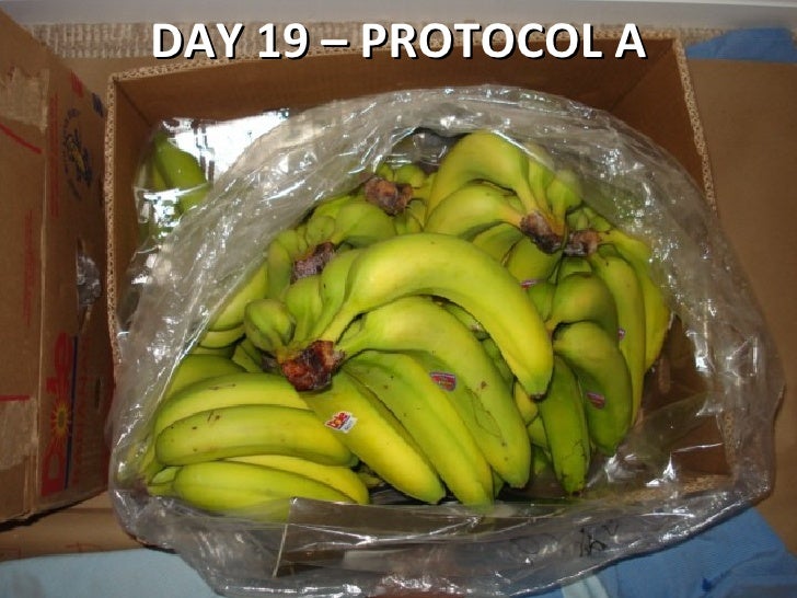Banana Shelf Life Testing
