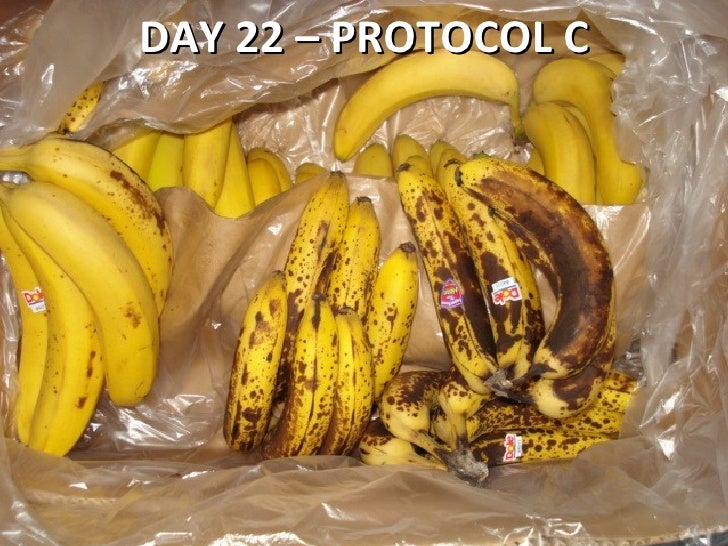 Banana Shelf Life Testing