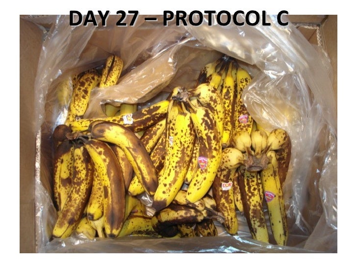 Banana Shelf Life Testing