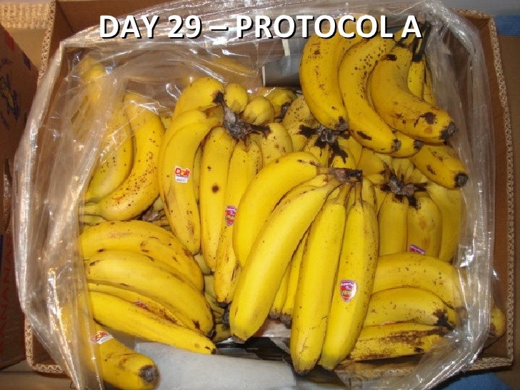 Banana Shelf Life Testing