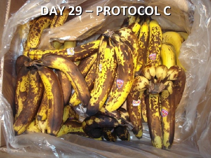 Banana Shelf Life Testing