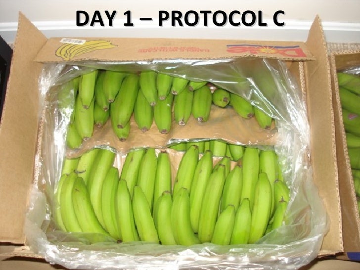 Banana Shelf Life Testing