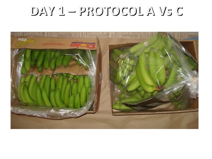 Banana Shelf Life Testing