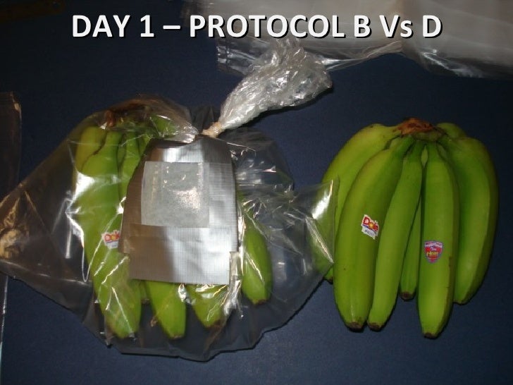 Banana Shelf Life Testing