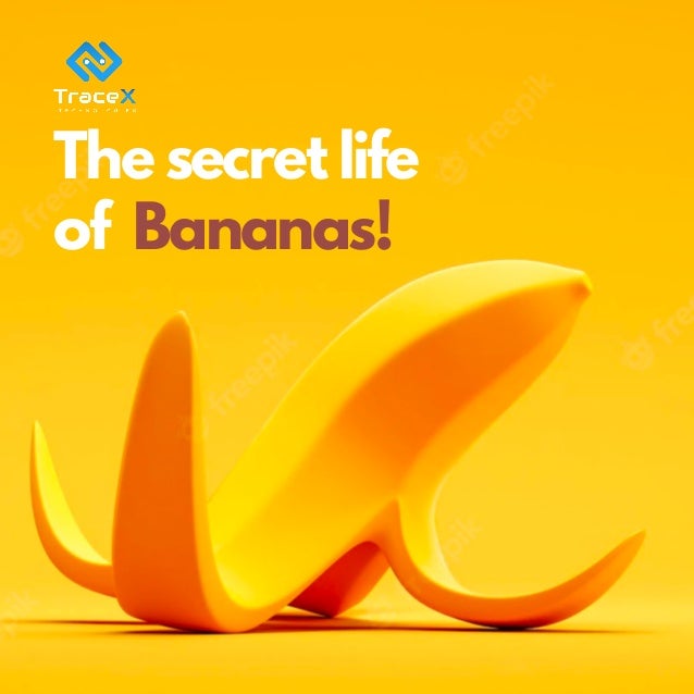 The secret life
of Bananas!
 