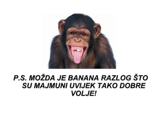 P.S. MOŽDA JE BANANA RAZLOG ŠTO SU MAJMUNI UVIJEK TAKO DOBRE VOLJE! 