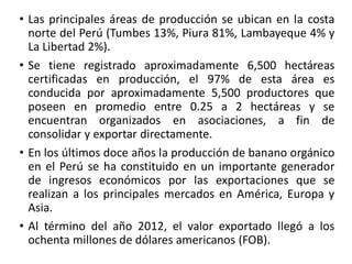 • Las principales áreas de producción se ubican en la costa
norte del Perú (Tumbes 13%, Piura 81%, Lambayeque 4% y
La Libertad 2%).
• Se tiene registrado aproximadamente 6,500 hectáreas
certificadas en producción, el 97% de esta área es
conducida por aproximadamente 5,500 productores que
poseen en promedio entre 0.25 a 2 hectáreas y se
encuentran organizados en asociaciones, a fin de
consolidar y exportar directamente.
• En los últimos doce años la producción de banano orgánico
en el Perú se ha constituido en un importante generador
de ingresos económicos por las exportaciones que se
realizan a los principales mercados en América, Europa y
Asia.
• Al término del año 2012, el valor exportado llegó a los
ochenta millones de dólares americanos (FOB).
 