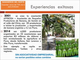 Experiencias exitosas
 2001 se crea la asociación
APPBOSA – Asociación de Pequeños
Productores de Banano, de Samán en
el valle del Chira, con 30 productores
e inician la producción y exportación
de banano orgánico y CJ en Piura.
 2014 son 4,000 productores
organizados en 35 asociaciones que
exportan 85 millones de dólares y
han revolucionado la agricultura en
Piura, desde Sullana, San Lorenzo y
Alto Piura, transformado
 Este ejemplo se repite en
Lambayeque, Tumbes y otras
regiones.
SIN ASOCIATIVIDAD EMPRESARIAL,
no serían posibles estos cambios
BANANEROS DEL NORTE
Exportan cerca del 70% de lo
que producen
 