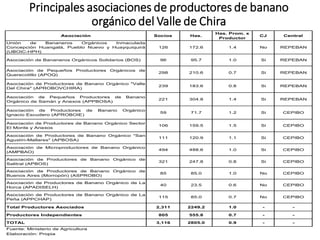 Principales asociaciones de productores de banano
orgánico del Valle de Chira
Asociación Socios Has.
Has. Prom. x
Productor
CJ Central
Unión de Bananeros Orgánicos Inmaculada
Concepción Huangalá, Pueblo Nuevo y Huayquiquirá
(UBOIC-HPH)
126 172.6 1.4 No REPEBAN
Asociación de Bananeros Orgánicos Solidarios (BOS) 96 95.7 1.0 Si REPEBAN
Asociación de Pequeños Productores Orgánicos de
Querecotillo (APOQ)
298 210.6 0.7 Si REPEBAN
Asociación de Productores de Banano Orgánico "Valle
Del Chira" (APROBOVCHIRA)
239 183.6 0.8 Si REPEBAN
Asociación de Pequeños Productores de Banano
Orgánico de Samán y Anexos (APPBOSA)
221 304.8 1.4 Si REPEBAN
Asociación de Productores de Banano Orgánico
Ignacio Escudero (APROBOIE)
59 71.7 1.2 Si CEPIBO
Asociación de Productores de Banano Orgánico Sector
El Monte y Anexos
106 159.5 1.5 Si CEPIBO
Asociación de Productores de Banano Orgánico "San
Agustín-Mallares" (APBOSA)
111 120.9 1.1 Si CEPIBO
Asociación de Microproductores de Banano Orgánico
(AMPBAO)
494 488.6 1.0 Si CEPIBO
Asociación de Productores de Banano Orgánico de
Salitral (APBOS)
321 247.8 0.8 Si CEPIBO
Asociación de Productores de Banano Orgánico de
Buenos Aires (Morropón) (ASPROBO)
85 85.0 1.0 No CEPIBO
Asociación de Productores de Banano Orgánico de La
Horca (APADISELH)
40 23.5 0.6 No CEPIBO
Asociación de Productores de Banano Orgánico de La
Peña (APPCHAP)
115 85.0 0.7 No CEPIBO
Total Productores Asociados 2,311 2249.2 1.0 - -
Productores Independientes 805 555.8 0.7 - -
TOTAL 3,116 2805.0 0.9 - -
Fuente: Ministerio de Agricultura
Elaboración: Propia
Cuadro N° 7: Principales asociaciones de productores de banano orgánico del Valle del Chira
 