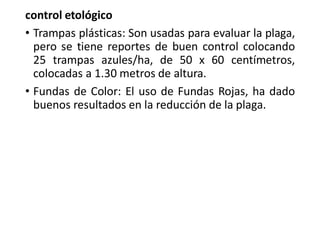 control etológico
• Trampas plásticas: Son usadas para evaluar la plaga,
pero se tiene reportes de buen control colocando
25 trampas azules/ha, de 50 x 60 centímetros,
colocadas a 1.30 metros de altura.
• Fundas de Color: El uso de Fundas Rojas, ha dado
buenos resultados en la reducción de la plaga.
 