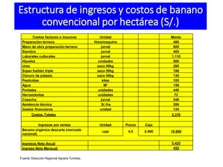 Estructura de ingresos y costos de banano
convencional por hectárea (S/.)
Costos factores o insumos Unidad Monto
Preparación terreno Hora/maquina 480
Mano de obra preparación terreno jornal 600
Siembra jornal 405
Laborales culturales jornal 1.110
Hijuelos unidades 900
Urea saco 50kg 280
Súper fosfato triple saco 50kg 186
Cloruro de potasio saco 50kg 130
Pesticidas kilos 105
Agua M3 158
Puntales unidades 440
Herramientas unidades 72
Cosecha jornal 540
Asistencia técnica S/./ha 206
Gastos financieros unidad 124
Costos Totales 5.376
Ingresos por ventas Unidad Precio Caja
Banano orgánico descarte (mercado
nacional)
caja 4,5 2.400 10.800
Ingresos Neto Anual 5.425
Ingreso Neto Mensual 452
Fuente: Dirección Regional Agraria Tumbes.
 