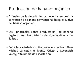 Producción de banano orgánico
 A finales de la década de los noventa, empezó la
conversión de banano convencional hacia el cultivo
del banano orgánico.
 Las principales zonas productoras de banano
orgánico son los distritos de Querecotillo y de
Salitral.
 Entre las variedades cultivadas se encuentran: Gros
Michel, Lancatan o Monte Cristo y Cavendish
Valery, esta última de exportación.
 