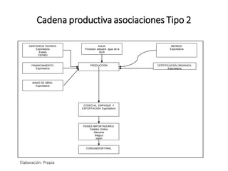 Cadena productiva asociaciones Tipo 2
PRODUCCIÓN
COSECHA, EMPAQUE Y
EXPORTACION: Exportadora
ABONOS:
Exportadora
AGUA:
Productor adquiere agua de la
NUR
ASISTENCIA TECNICA:
Exportadora
Estado
CEPIBO
PAISES IMPORTADORES:
Estados Unidos
Alemania
Bélgica
Japón
CONSUMIDOR FINAL
FINANCIAMIENTO:
Exportadora
CERTIFICACION ORGANICA:
Exportadora
MANO DE OBRA:
Exportadora
Elaboración: Propia
 