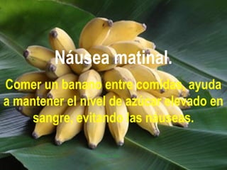 Náusea matinal.
Comer un banano entre comidas, ayuda
a mantener el nivel de azúcar elevado en
sangre, evitando las náuseas.
 
