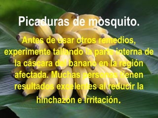 Picaduras de mosquito.
Antes de usar otros remedios,
experimente tallando la parte interna de
la cáscara del banano en la región
afectada. Muchas personas tienen
resultados excelentes al reducir la
hinchazón e irritación.
 
