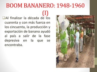 BOOM BANANERO: 1948-1960
(I)
Al finalizar la década de los
cuarenta y con más fuerza en
los cincuenta, la producción y
exportación de banano ayudó
al país a salir de la fase
depresiva en la que se
encontraba.
 