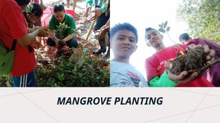 MANGROVE PLANTING
 