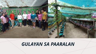 GULAYAN SA PAARALAN
 