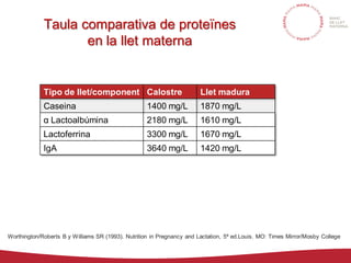 Taula comparativa de proteïnes
en la llet materna
Tipo de llet/component Calostre Llet madura
Caseina 1400 mg/L 1870 mg/L
...