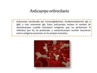 Anticuerpo eritrocitario
• Anticuerpo constituido por inmunoglobulinas, fundamentalmente IgG e
IgM, y más raramente IgA. Estos anticuerpos reciben el nombre de
aloanticuerpos cuando reconocen antígenos que no pertenecen al
individuo que los ha producido, y autoanticuerpos cuando reaccionan
contra antígenos presentes en los propios hematíes.
 