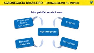 Principais Fatores de Sucesso
AGRONEGÓCIO BRASILEIRO - PROTAGONISMO NO MUNDO
 