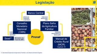 PRONAF
Legislação
Pronaf
(*) Secretaria Especial de Agricultura Familiar e do Desenvolvimento Agrário
Conselho
Monetário
Nacional
(CMN)
Banco Central
Manual de
Crédito Rural
(MCR)
Capítulo 10
Ministério da
Fazenda (MF)
Sead(*)
Plano Safra
da Agricultura
Familiar
ELABORA E PROPÕE
CONDIÇÕES E
DIRETRIZES
APROVA AS
CONDIÇÕES
E DIRETRIZES
PUBLICA AS
RESOLUÇÕES
CMN
DISSEMINA
OFICIALMENTE AS
RESOLUÇÕES
 