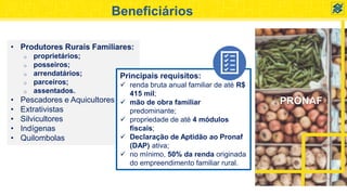PRONAF
Beneficiários
• Produtores Rurais Familiares:
o proprietários;
o posseiros;
o arrendatários;
o parceiros;
o assentados.
• Pescadores e Aquicultores
• Extrativistas
• Silvicultores
• Indígenas
• Quilombolas
Principais requisitos:
 renda bruta anual familiar de até R$
415 mil;
 mão de obra familiar
predominante;
 propriedade de até 4 módulos
fiscais;
 Declaração de Aptidão ao Pronaf
(DAP) ativa;
 no mínimo, 50% da renda originada
do empreendimento familiar rural.
 