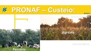 Pecuário
Diretoria de Agronegócios
Safra 2018/2019
#pública
Agrícola
PRONAF – Custeio:
Pecuário
 