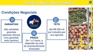 PRONAF
Condições Negociais
GARANTIAS
São admitidas
garantias
pessoais (fiança)
e/ou garantias
reais (penhor)
PRAZO
De 1 a 3 anos, a
depender do ciclo
do empreendimento
financiado
TETO
Até R$ 250 mil
por mutuário por
ano agrícola
$
Custeio Agricultor Familiar
 