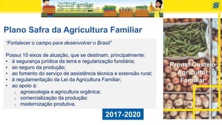 Pronaf Custeio
Agricultor
Familiar
Plano Safra da Agricultura Familiar
“Fortalecer o campo para desenvolver o Brasil”
Possui 10 eixos de atuação, que se destinam, principalmente:
• à segurança jurídica da terra e regularização fundiária;
• ao seguro da produção;
• ao fomento do serviço de assistência técnica e extensão rural;
• à regulamentação da Lei da Agricultura Familiar;
• ao apoio à:
o agroecologia e agricultura orgânica;
o comercialização da produção;
o modernização produtiva.
2017-2020
 