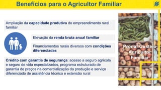 Pronaf Custeio
Agricultor
Familiar
Benefícios para o Agricultor Familiar
Ampliação da capacidade produtiva do empreendimento rural
familiar
Elevação da renda bruta anual familiar
Financiamentos rurais diversos com condições
diferenciadas
Crédito com garantia de segurança: acesso a seguro agrícola
e seguro de vida especializados, programa estruturado de
garantia de preços na comercialização da produção e serviço
diferenciado de assistência técnica e extensão rural
 