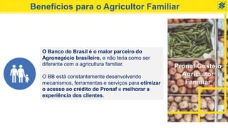 Pronaf Custeio
Agricultor
Familiar
Benefícios para o Agricultor Familiar
O Banco do Brasil é o maior parceiro do
Agronegócio brasileiro, e não teria como ser
diferente com a agricultura familiar.
O BB está constantemente desenvolvendo
mecanismos, ferramentas e serviços para otimizar
o acesso ao crédito do Pronaf e melhorar a
experiência dos clientes.
 