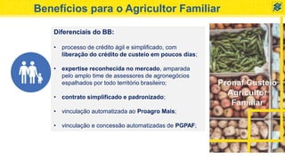 Pronaf Custeio
Agricultor
Familiar
Benefícios para o Agricultor Familiar
Diferenciais do BB:
• processo de crédito ágil e simplificado, com
liberação do crédito de custeio em poucos dias;
• expertise reconhecida no mercado, amparada
pelo amplo time de assessores de agronegócios
espalhados por todo território brasileiro;
• contrato simplificado e padronizado;
• vinculação automatizada ao Proagro Mais;
• vinculação e concessão automatizadas de PGPAF;
 