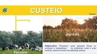 Pecuário
Diretoria de Agronegócios
Safra 2018/2019
#pública
Agrícola
CUSTEIO
Pecuário
Público-Alvo: Produtores rurais (pessoas físicas ou
jurídicas) e cooperativas de produtores rurais e suas
centrais, quando se tratar de exploração própria.
 