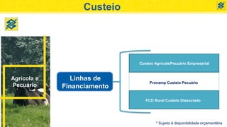 Custeio
Agrícola e
Pecuário
Linhas de
Financiamento
Custeio Agrícola/Pecuário Empresarial
Pronamp Custeio Pecuário
FCO Rural Custeio Dissociado
* Sujeito à disponibilidade orçamentária
 