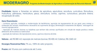 Finalidade: Apoiar e fomentar os setores da apicultura, aquicultura, avicultura, cunicultura, floricultura,
fruticultura, palmáceas, horticultura, pesca, olivicultura, ovinos, caprinos, suinocultura, pecuária leiteira,
recuperação de solos.
Itens financiáveis:
- corretivos agrícolas, instalação e modernização de benfeitorias, aquisição de equipamentos de uso geral, para manejo e
contenção dos animais, investimentos necessários ao suprimento de água, alimentação e tratamento de dejetos, estocagem de
insumos agropecuários.
- reposição de matrizes bovinas ou bubalinas que tenham tido animais sacrificados em virtude de reação positiva a testes
detectores de brucelose ou tuberculose
- aquisição de matrizes e de reprodutores ovinos, caprinos e bovinos de leite.
Valores: até R$ 880 mil; reposição de matrizes bovinas: R$ 400 mil. Coletivo: R$ 2.640 mil
Encargos financeiros/Teto: 7% a.a., 100% do valor proposto.
Prazos: até 10 anos com carência de até 3 anos.
MODERAGRO Programa de Modernização da Agricultura e Conservação de Recursos Naturais
 