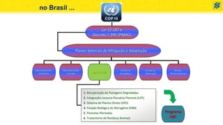 Lei 12.187 e
Decreto 7.390 (PNMC)
Planos Setoriais de Mitigação e Adaptação
Desmatamento
Amazônia
Desmatamento
Cerrado
Agricultura
Eficiência
Energética
Carvão na
Siderurgia
Outros
Planos Setoriais
1. Recuperação de Pastagens Degradadas
2. Integração Lavoura-Pecuária-Floresta (ILPF)
3. Sistema de Plantio Direto (SPD)
4. Fixação Biológica do Nitrogênio (FBN)
5. Florestas Plantadas
6. Tratamento de Resíduos Animais
Programa
ABC
no Brasil ...
 