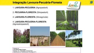 Integração Lavoura-Pecuária-Floresta
1. LAVOURA-PECUÁRIA (Agropastoril)
2. PECUÁRIA-FLORESTA (Silvipastoril)
4. LAVOURA-FLORESTA (Silviagrícola)
4. LAVOURA-PECUÁRIA-FLORESTA
(Agrossilvipastoril)
Adaptado de:
Luiz Adriano Maia Cordeiro
Eng.Agr., D.S., Pesquisador, Embrapa Sede
Departamento de Transferência de Tecnologia (DTT)
 