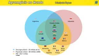 População urbana > 80 milhões (2008)
PIB > US$ 1 trilhão
Indonésia
México
Japão
Alemanha
Espanha
Itália Reino
Unido
França
Área Agricultável > 30 milhões de ha
Argentina
Canadá
Austrália
Brasil
China
Índia
Russia
Estados Unidos
Agronegócio no Mundo Principais Players
 