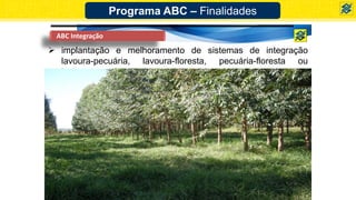  implantação e melhoramento de sistemas de integração
lavoura-pecuária, lavoura-floresta, pecuária-floresta ou
lavoura-pecuária-floresta;
Programa ABC – Finalidades
ABC Integração
 