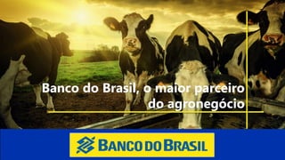 Banco do Brasil, o maior parceiro
do agronegócio
 