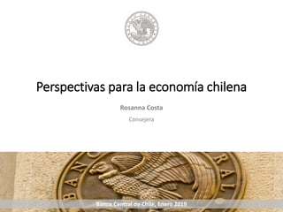 Perspectivas para la economía chilena
Rosanna Costa
Banco Central de Chile, Enero 2019
Consejera
 