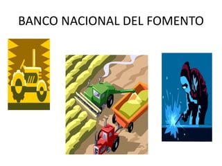 BANCO NACIONAL DEL FOMENTO
 